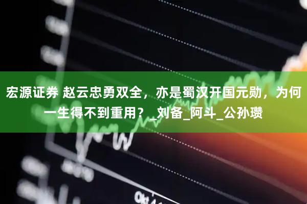 宏源证券 赵云忠勇双全，亦是蜀汉开国元勋，为何一生得不到重用？_刘备_阿斗_公孙瓒