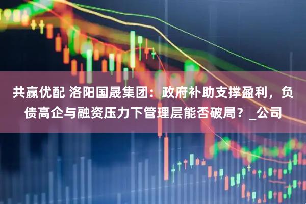 共赢优配 洛阳国晟集团：政府补助支撑盈利，负债高企与融资压力下管理层能否破局？_公司
