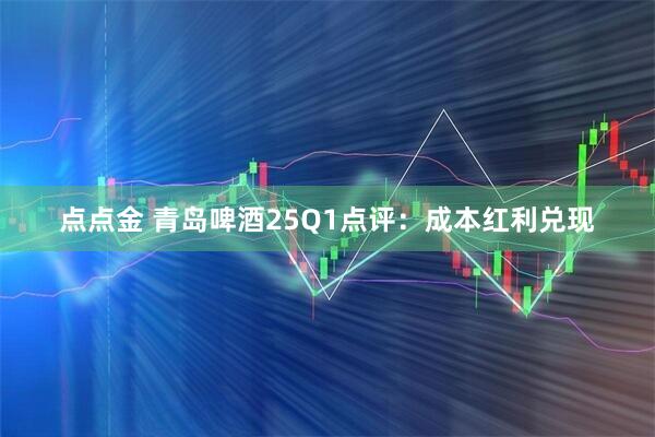 点点金 青岛啤酒25Q1点评：成本红利兑现