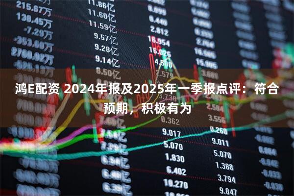 鸿E配资 2024年报及2025年一季报点评:符合预期,积极有为