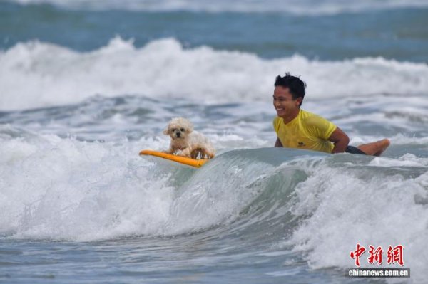 道正网配资 海南产经新观察：一块冲浪板撬动消费新热点