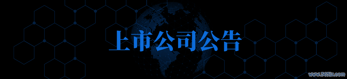 6-上市公司公告.png 6-上市公司公告.png