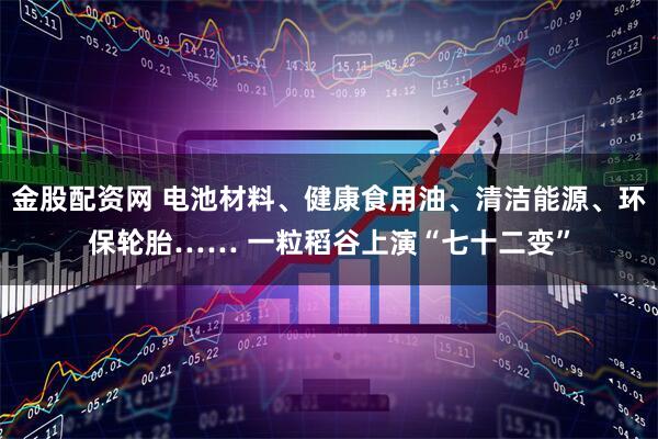 金股配资网 电池材料、健康食用油、清洁能源、环保轮胎…… 一粒稻谷上演“七十二变”