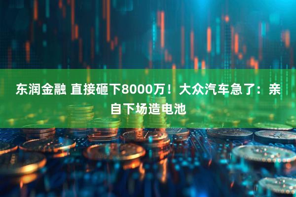 东润金融 直接砸下8000万！大众汽车急了：亲自下场造电池